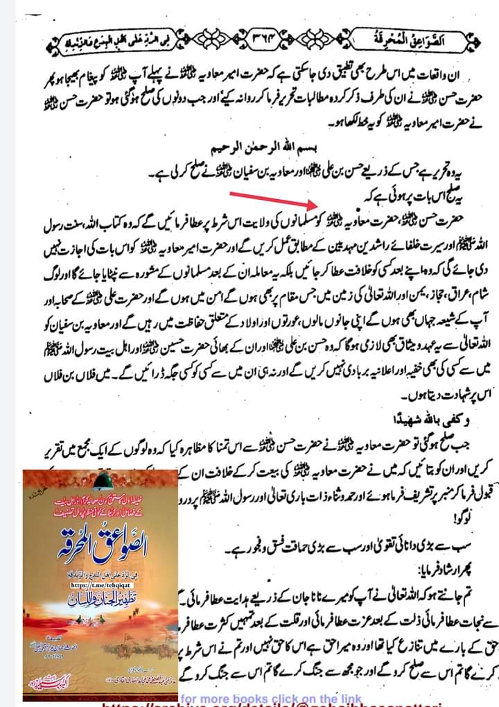 مولا حسنؑ سے متعلق ناصبیوں کے الزامات کے جوابات