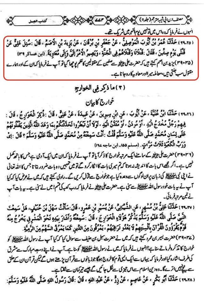 کیا مولا علی ع نے گروہ معاویه کو جنتی کھا؟