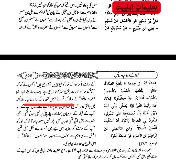 لوگوں نے ہمیں گدھوں اور کتوں کے برابر کر دیا